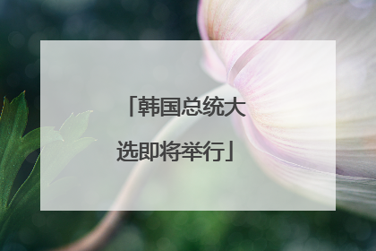 韩国总统大选即将举行