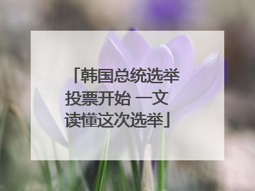 韩国总统选举投票开始 一文读懂这次选举
