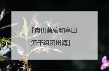 青田黄菊和阜山笋干组团出海