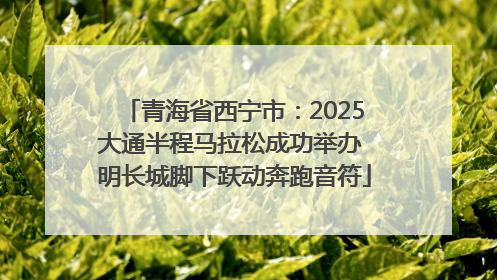 青海省西宁市：2025大通半程马拉松成功举办 明长城脚下跃动奔跑音符
