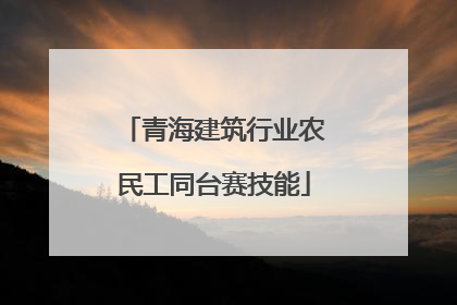 青海建筑行业农民工同台赛技能
