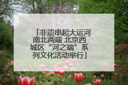 非遗串起大运河南北两端 北京西城区“河之端”系列文化活动举行