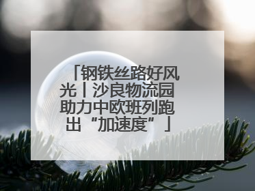 钢铁丝路好风光丨沙良物流园助力中欧班列跑出“加速度”