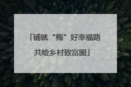 铺就“梅”好幸福路 共绘乡村致富图