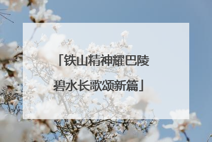 铁山精神耀巴陵 碧水长歌颂新篇