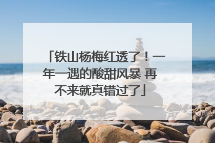 铁山杨梅红透了！一年一遇的酸甜风暴 再不来就真错过了