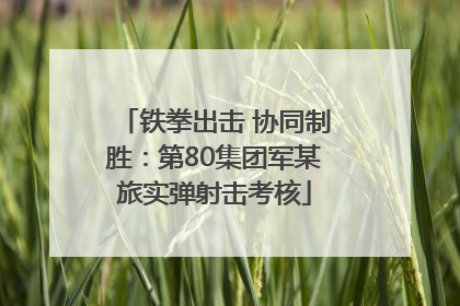 铁拳出击 协同制胜：第80集团军某旅实弹射击考核
