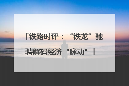 铁路时评：“铁龙”驰骋解码经济“脉动”