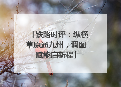 铁路时评：纵横草原通九州，调图赋能启新程