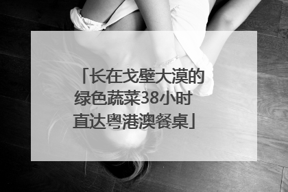 长在戈壁大漠的绿色蔬菜38小时直达粤港澳餐桌