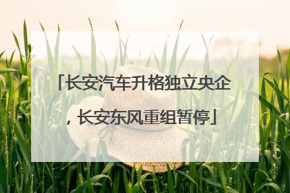 长安汽车升格独立央企，长安东风重组暂停
