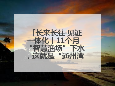 长来长往·见证一体化丨11个月“智慧渔场”下水，这就是“通州湾速度”！