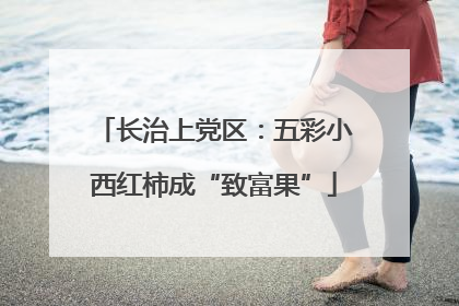 长治上党区：五彩小西红柿成“致富果”