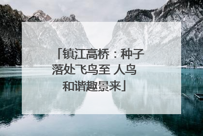 镇江高桥：种子落处飞鸟至 人鸟和谐趣景来