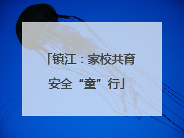 镇江：家校共育 安全“童”行