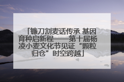 镰刀割麦话传承 基因育种启新程——第十届杨凌小麦文化节见证“颗粒归仓”时空跨越