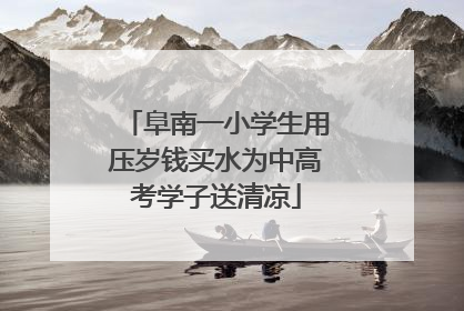 阜南一小学生用压岁钱买水为中高考学子送清凉