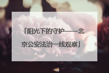 阳光下的守护——北京公安法治一线观察