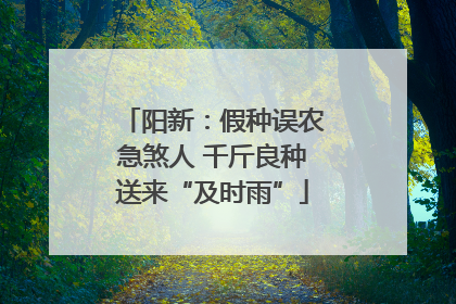 阳新：假种误农急煞人 千斤良种送来“及时雨”