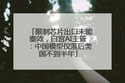 限制芯片出口未能奏效，白宫AI主管：中国模型仅落后美国不到半年
