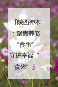 陕西神木：聚焦养老“食事” 守护幸福“食光”