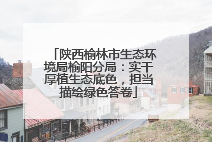 陕西榆林市生态环境局榆阳分局：实干厚植生态底色，担当描绘绿色答卷