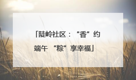 陡岭社区：“香”约端午 “粽”享幸福