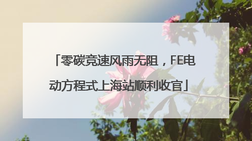 零碳竞速风雨无阻，FE电动方程式上海站顺利收官