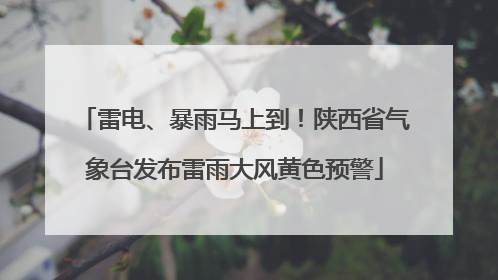 雷电、暴雨马上到！陕西省气象台发布雷雨大风黄色预警