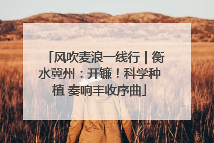 风吹麦浪一线行｜衡水冀州：开镰！科学种植 奏响丰收序曲