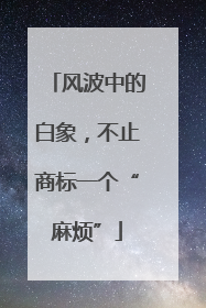风波中的白象，不止商标一个“麻烦”