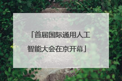 首届国际通用人工智能大会在京开幕
