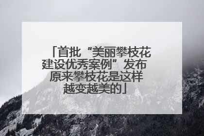首批“美丽攀枝花建设优秀案例”发布 原来攀枝花是这样越变越美的