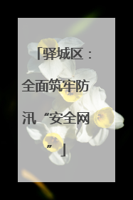 驿城区：全面筑牢防汛“安全网”