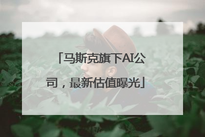 马斯克旗下AI公司，最新估值曝光