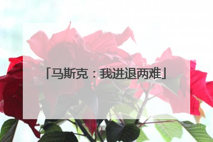 马斯克：我进退两难