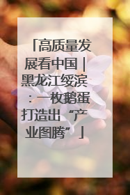 高质量发展看中国｜黑龙江绥滨：一枚鹅蛋打造出“产业图腾”
