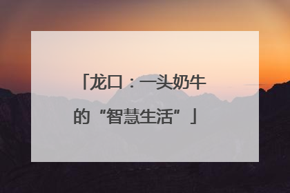 龙口：一头奶牛的“智慧生活”