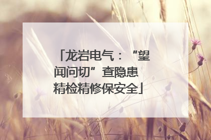 龙岩电气：“望闻问切”查隐患 精检精修保安全