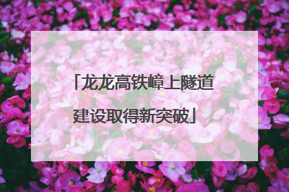 龙龙高铁嶂上隧道建设取得新突破