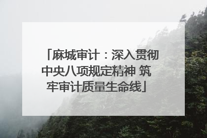 麻城审计：深入贯彻中央八项规定精神 筑牢审计质量生命线