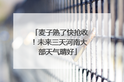 麦子熟了快抢收！未来三天河南大部天气晴好
