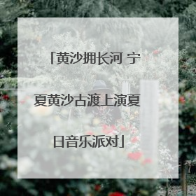 黄沙拥长河 宁夏黄沙古渡上演夏日音乐派对