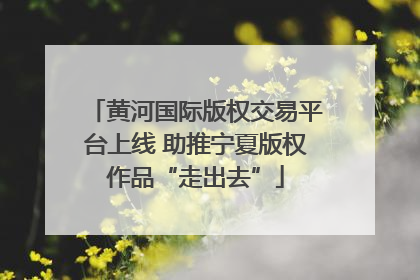 黄河国际版权交易平台上线 助推宁夏版权作品“走出去”