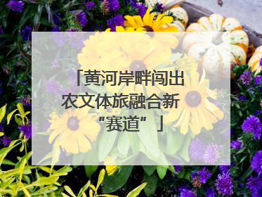 黄河岸畔闯出农文体旅融合新“赛道”