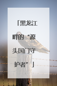 黑龙江畔的“源头国门守护者”