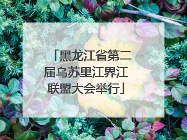 黑龙江省第二届乌苏里江界江联盟大会举行