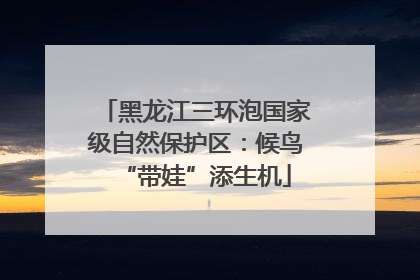 黑龙江三环泡国家级自然保护区：候鸟“带娃”添生机