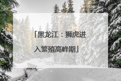 黑龙江：狮虎进入繁殖高峰期