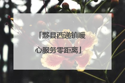 黟县西递镇暖心服务零距离
